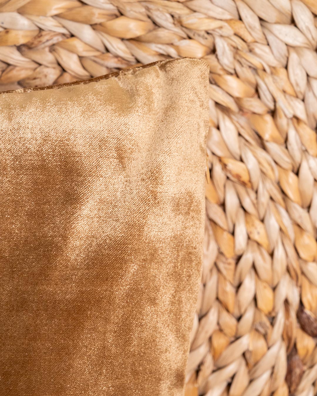 Cojín Terciopelo Brillo Ocre