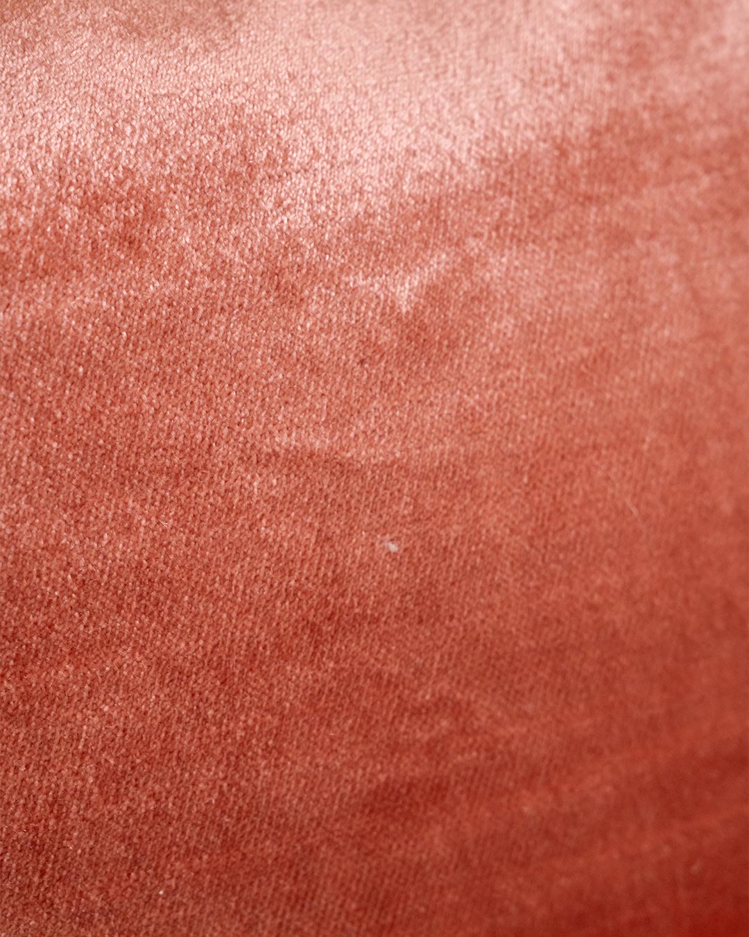 Velvet Cushion with Kettle Shine