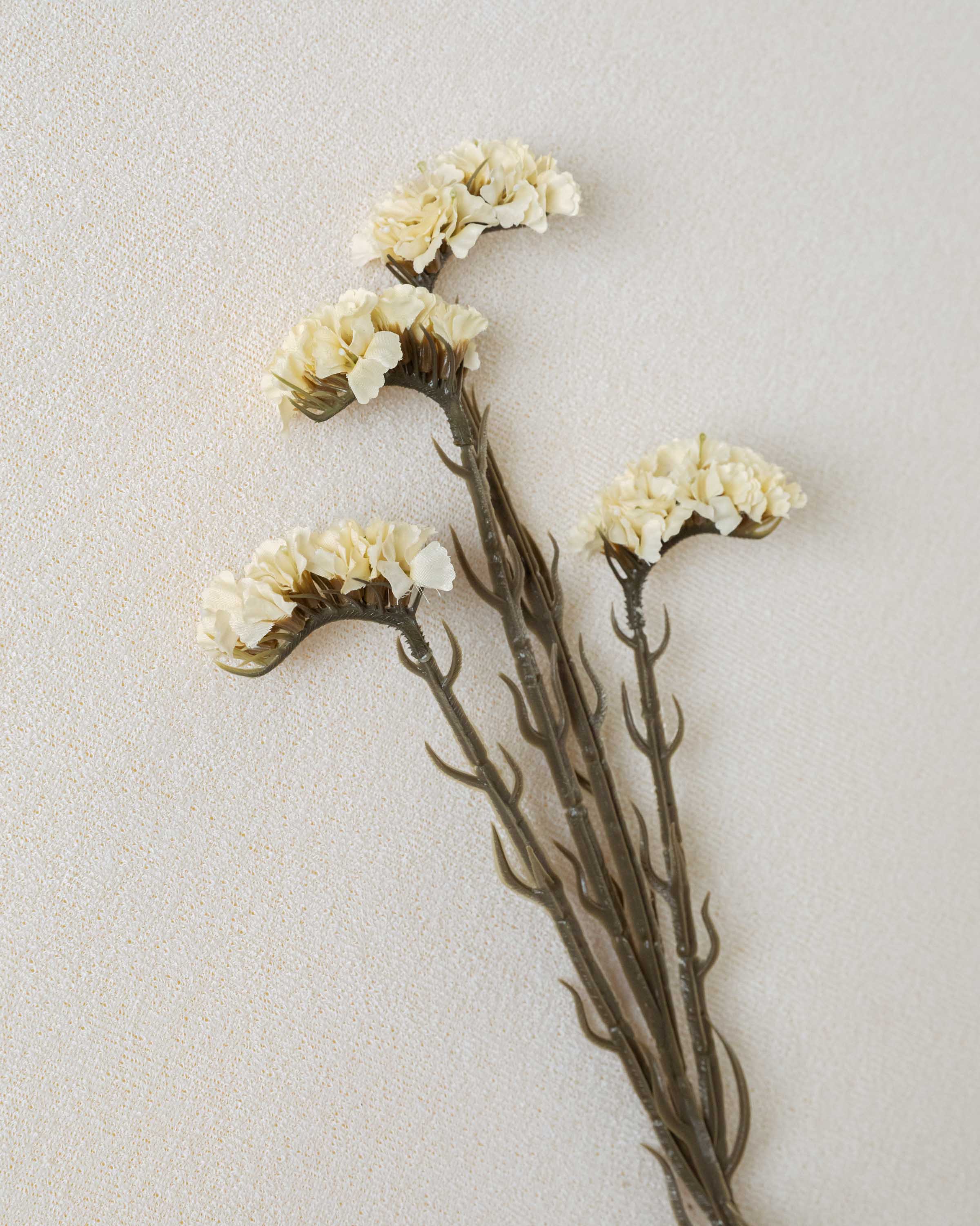 Rama Limonium Natural