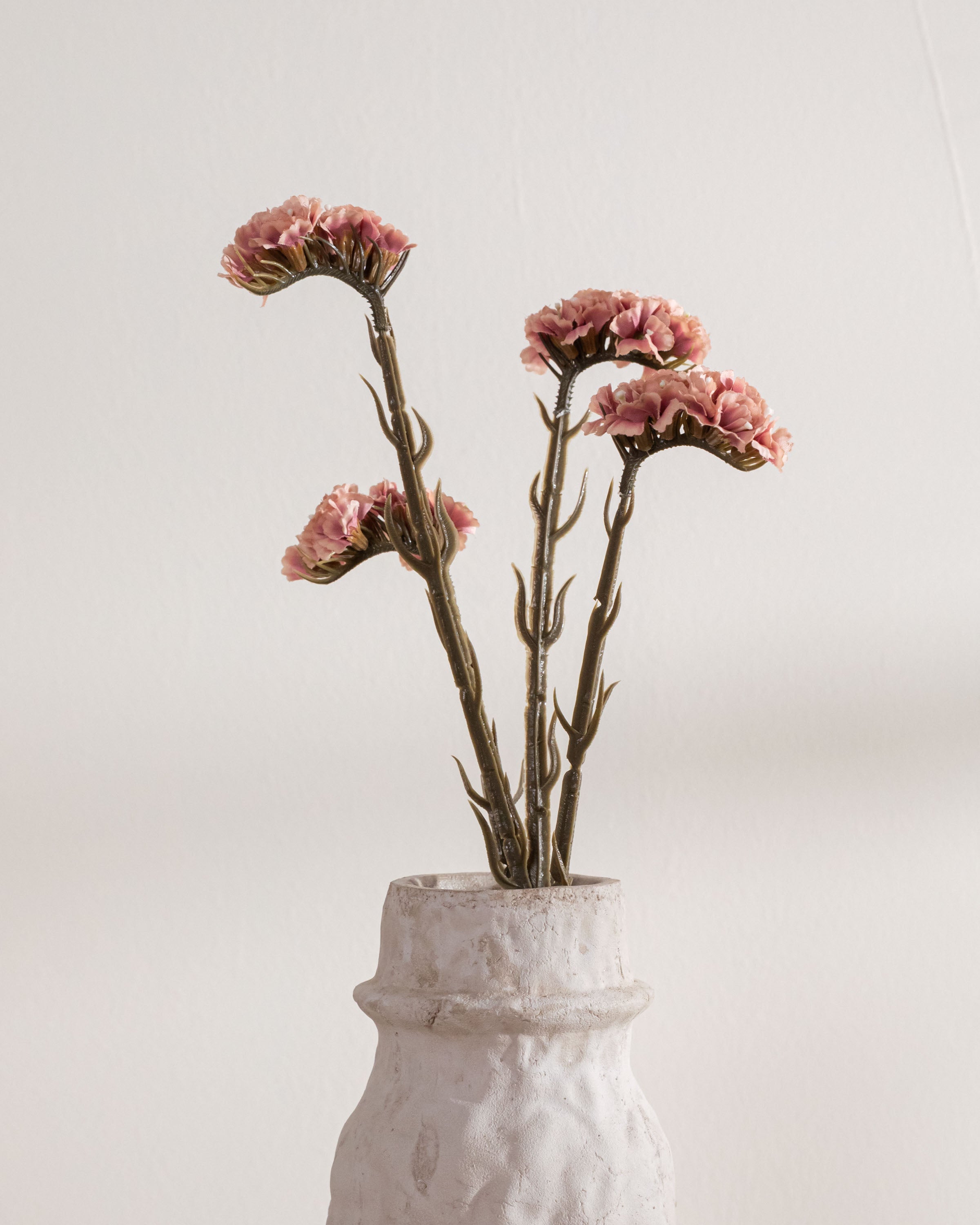 Rama Limonium Rosa