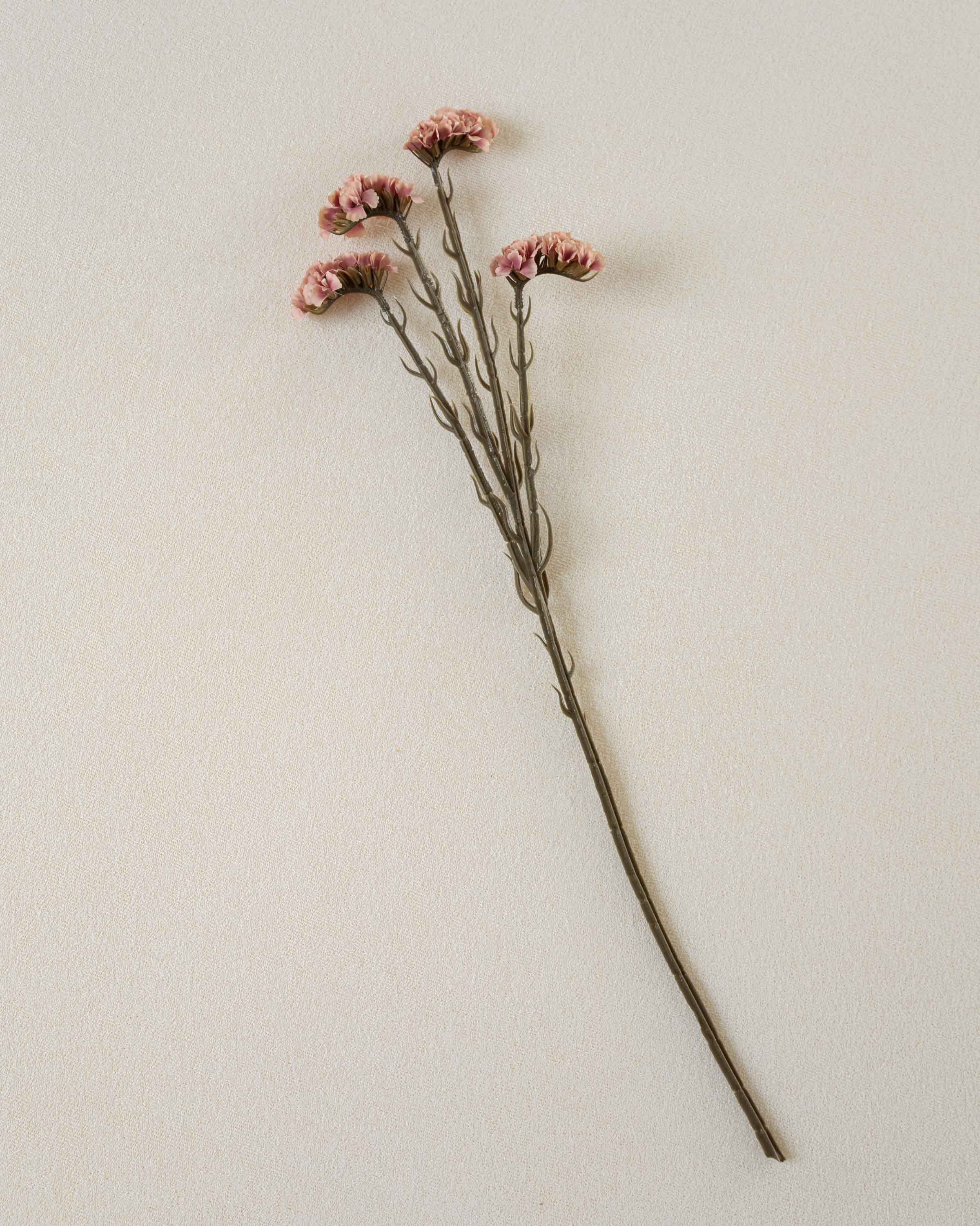 Rama Limonium Rosa