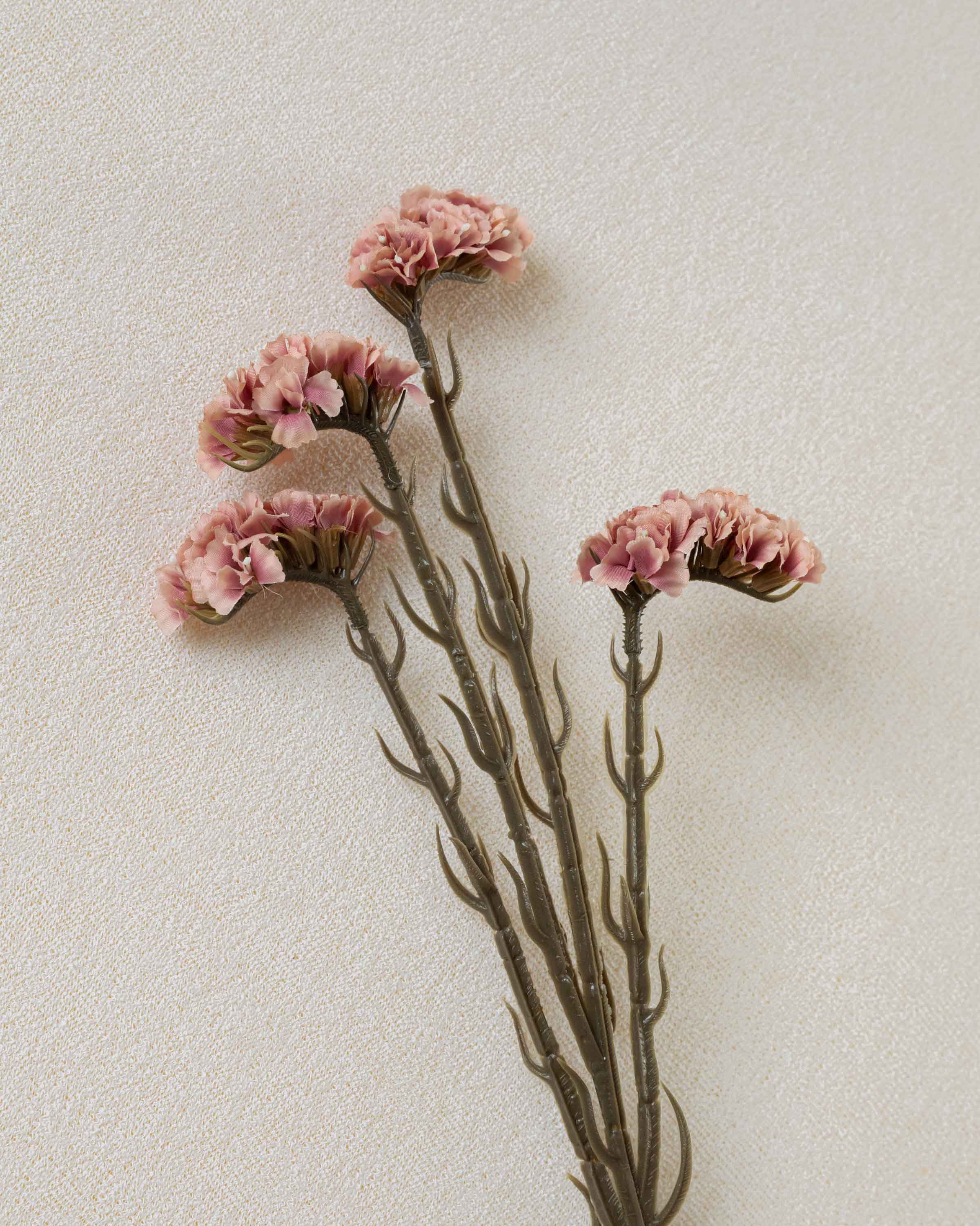 Rama Limonium Rosa