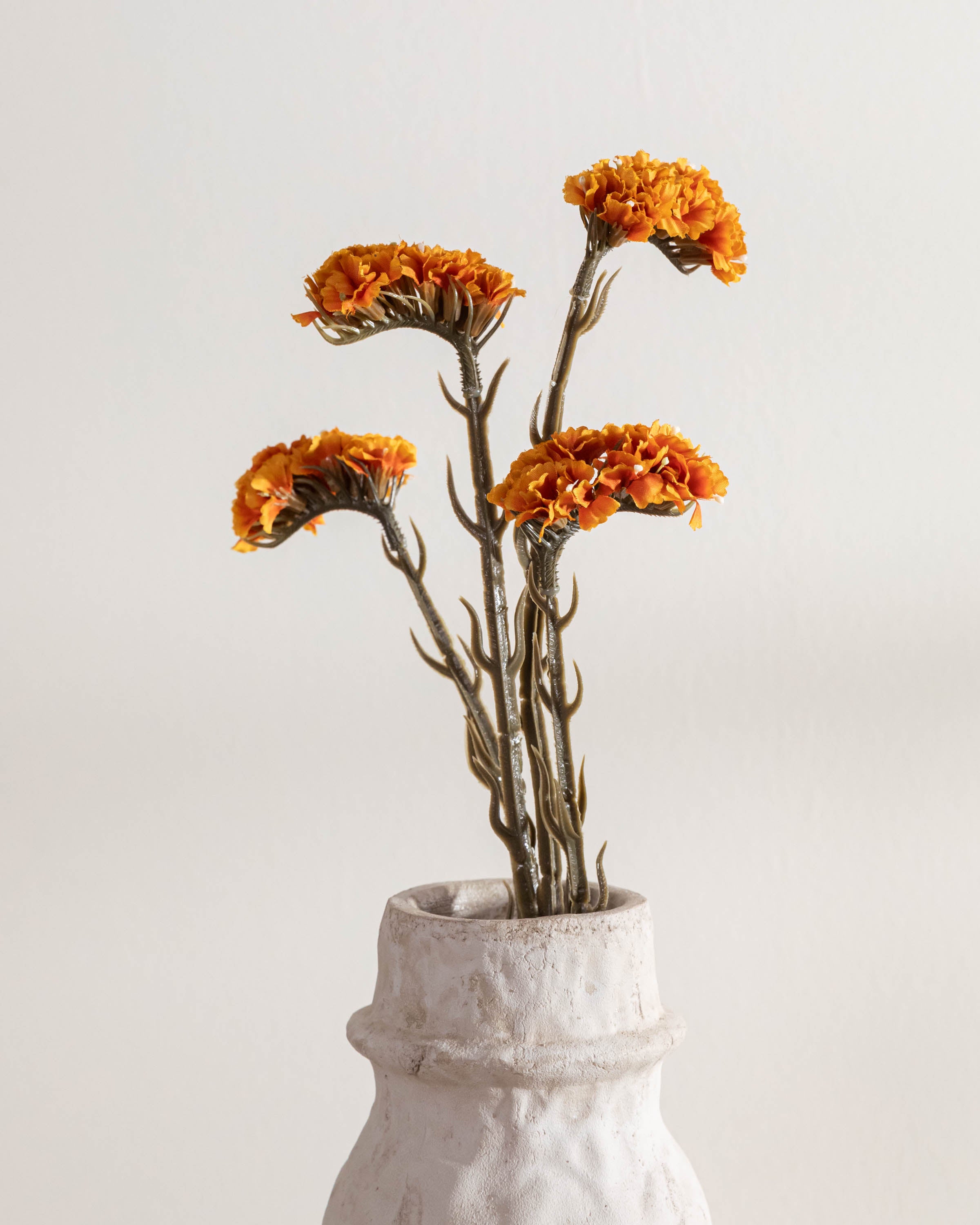 Rama Limonium Caldera