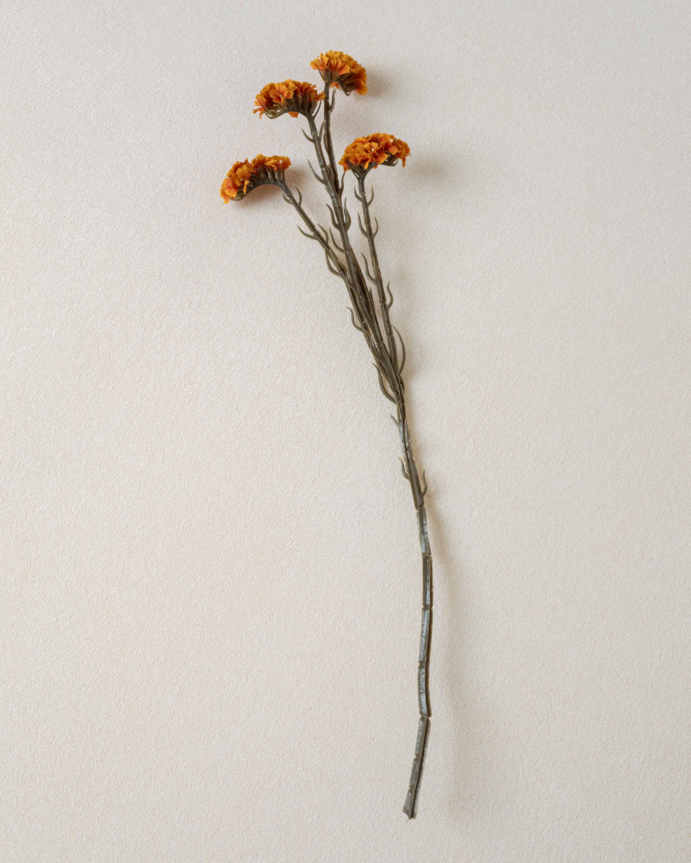 Rama Limonium Caldera