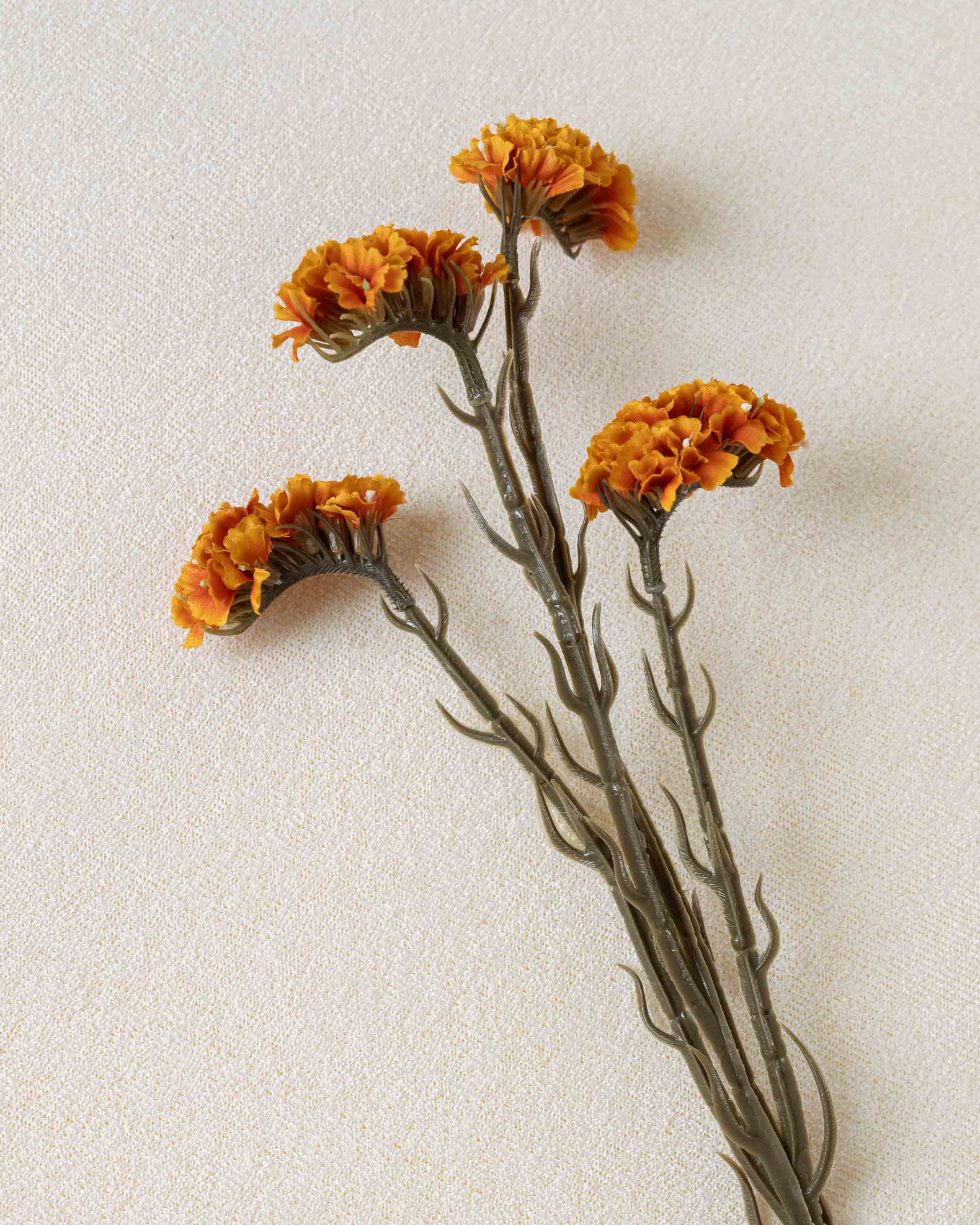 Rama Limonium Caldera