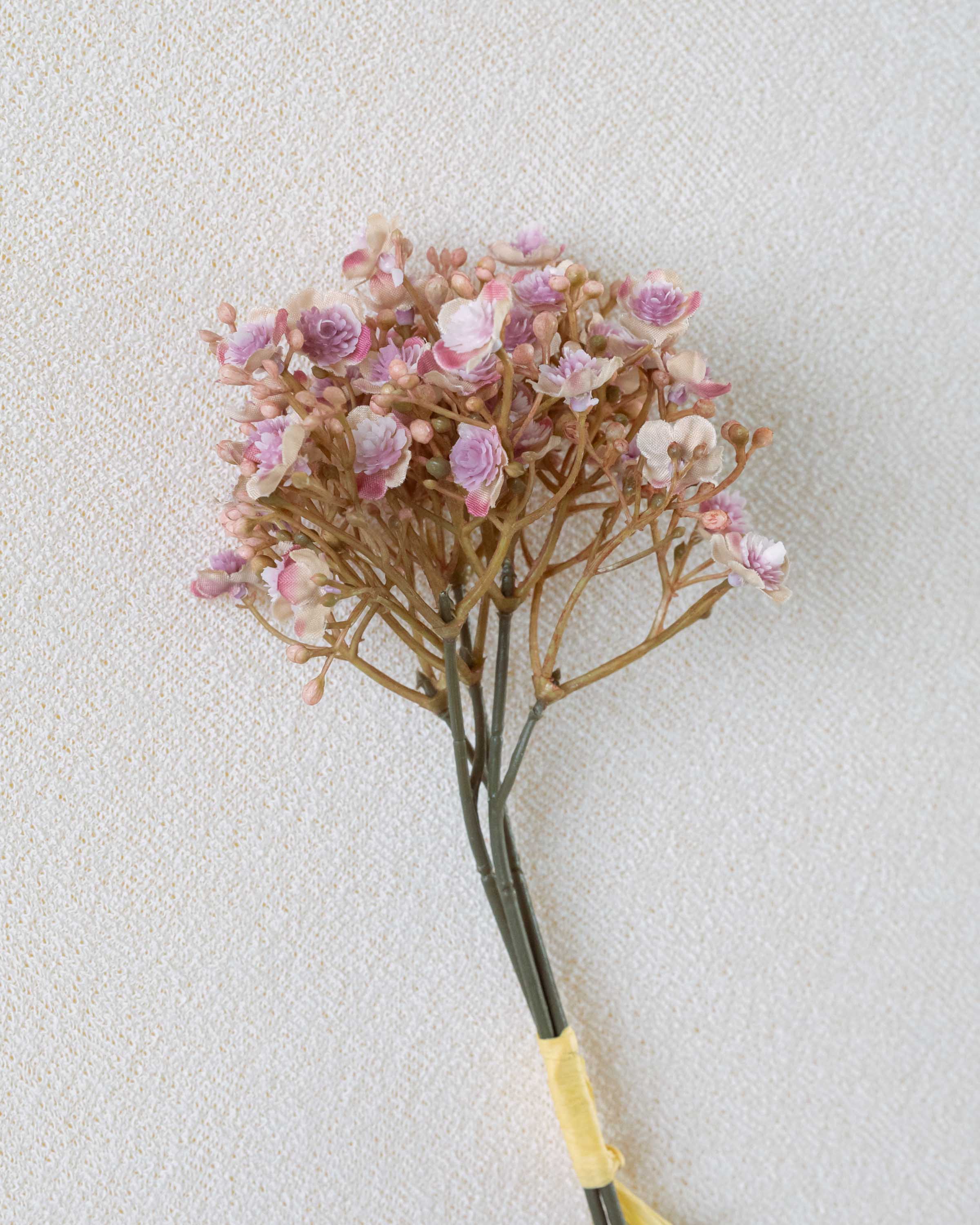 Rama Gypso Rosa