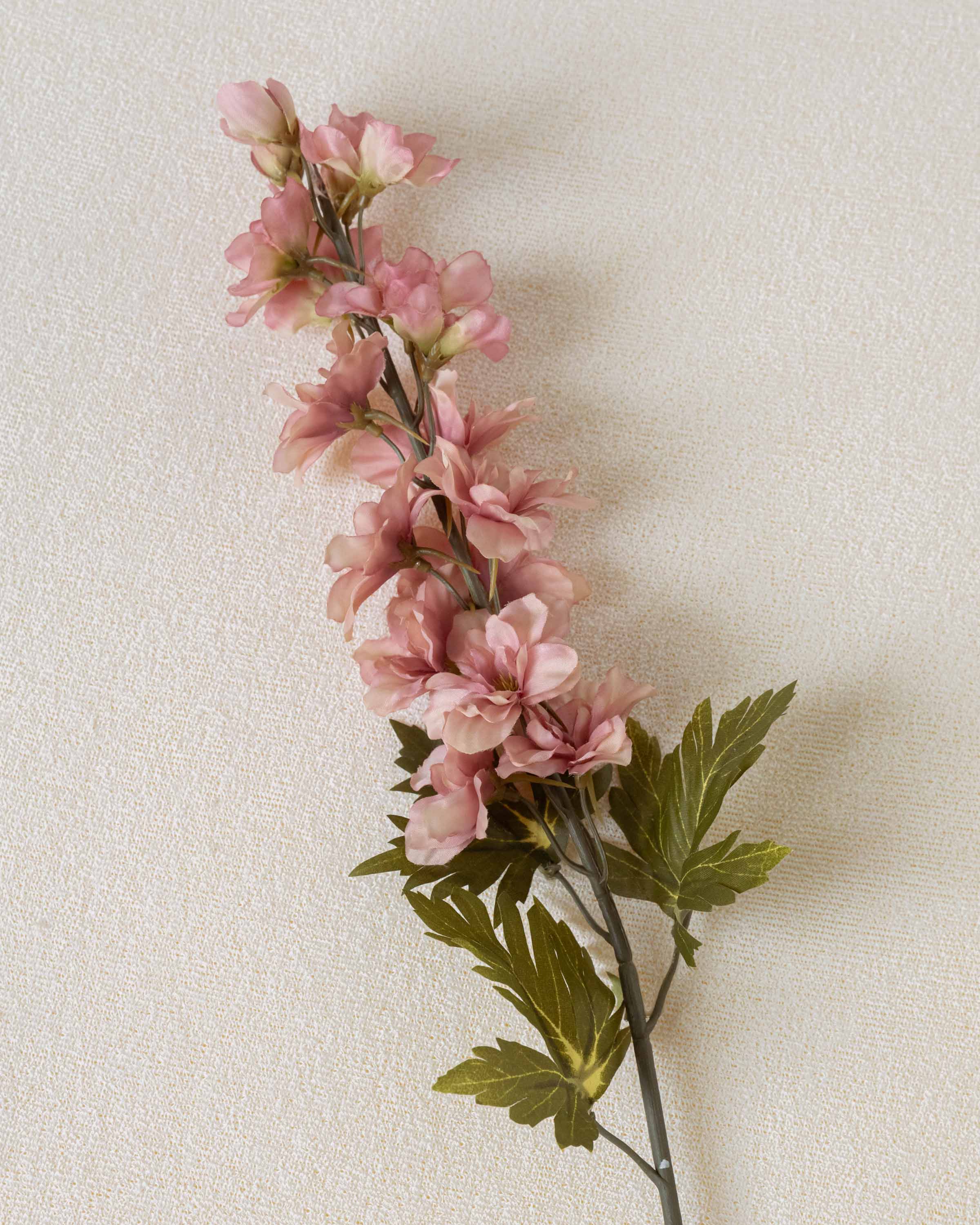 Fleur de delphinium rose