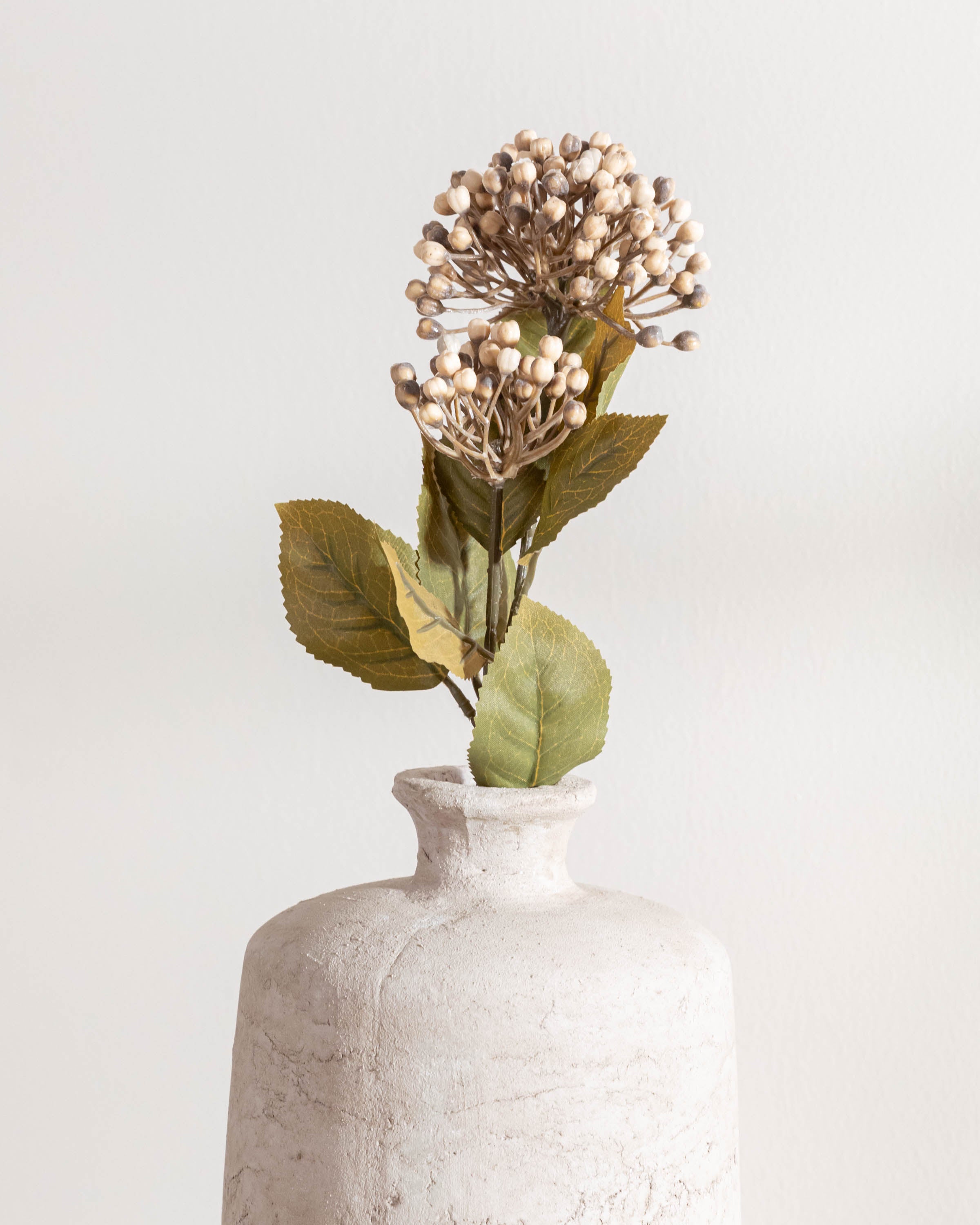 Fiore di ortensia marrone