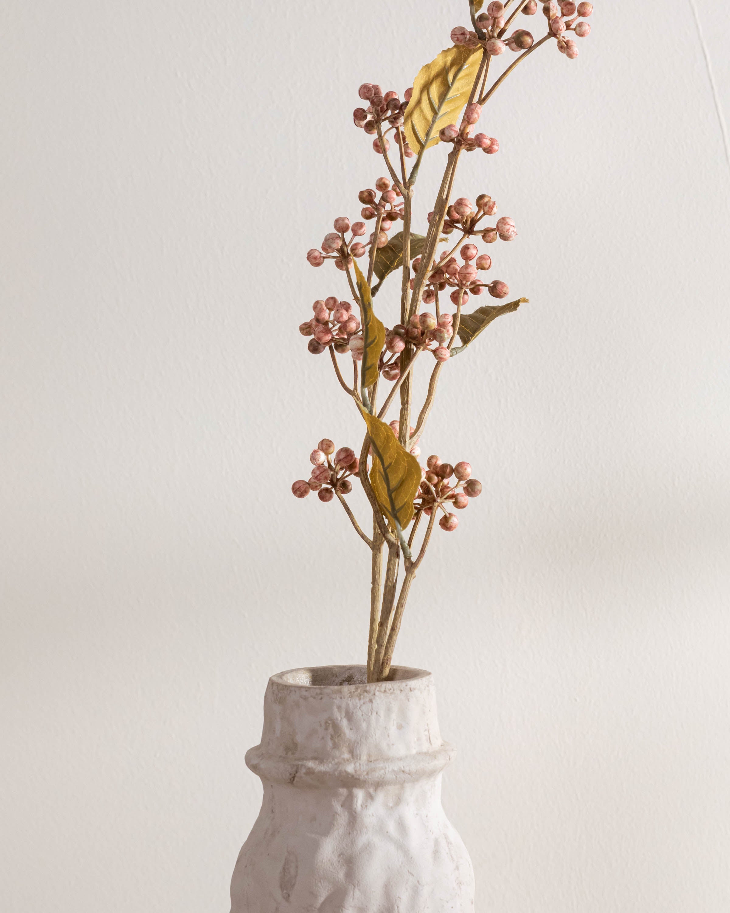 Ramo di sambuco KL Rose