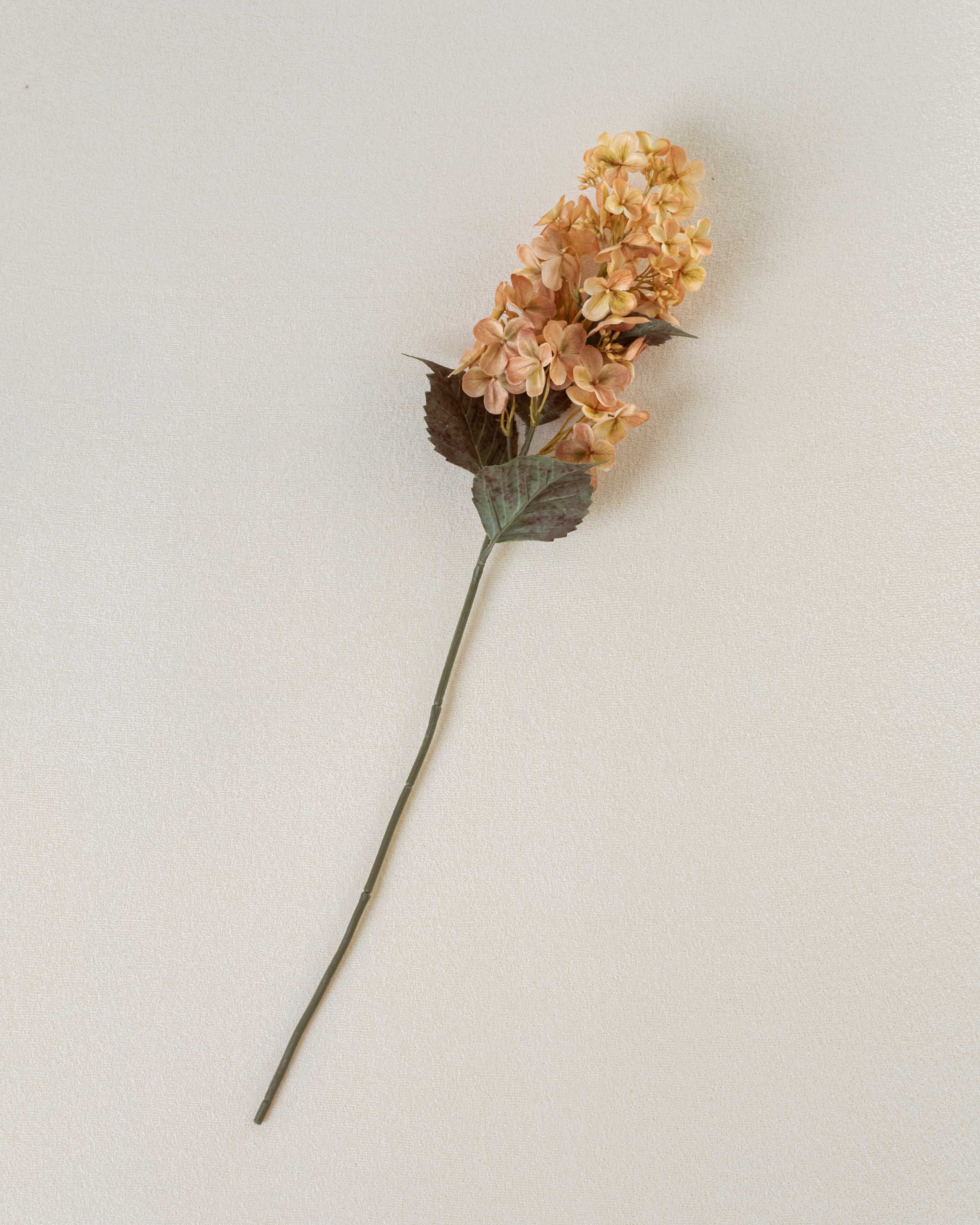 Flor Cono Hortensia Beige