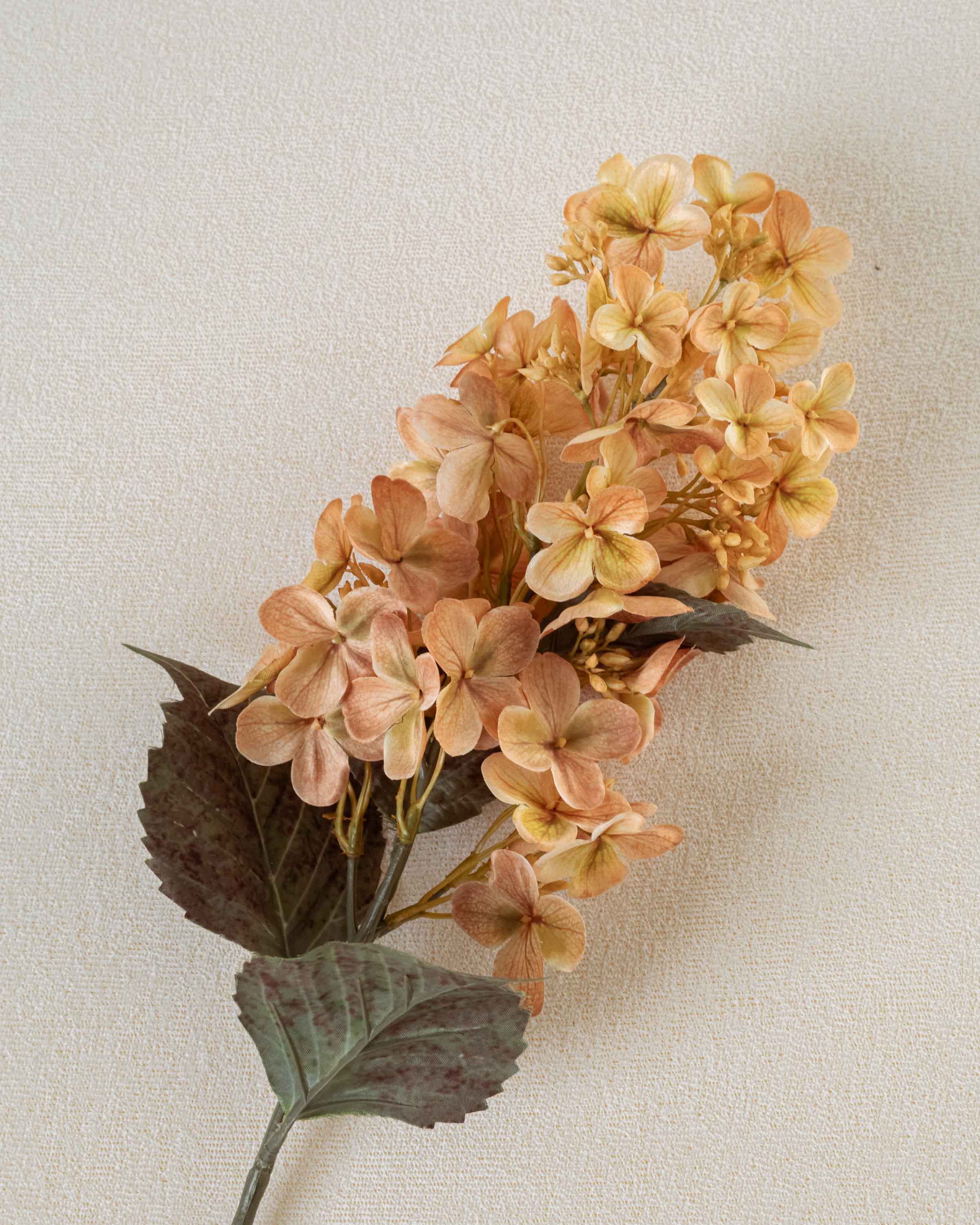 Flor Cono Hortensia Beige