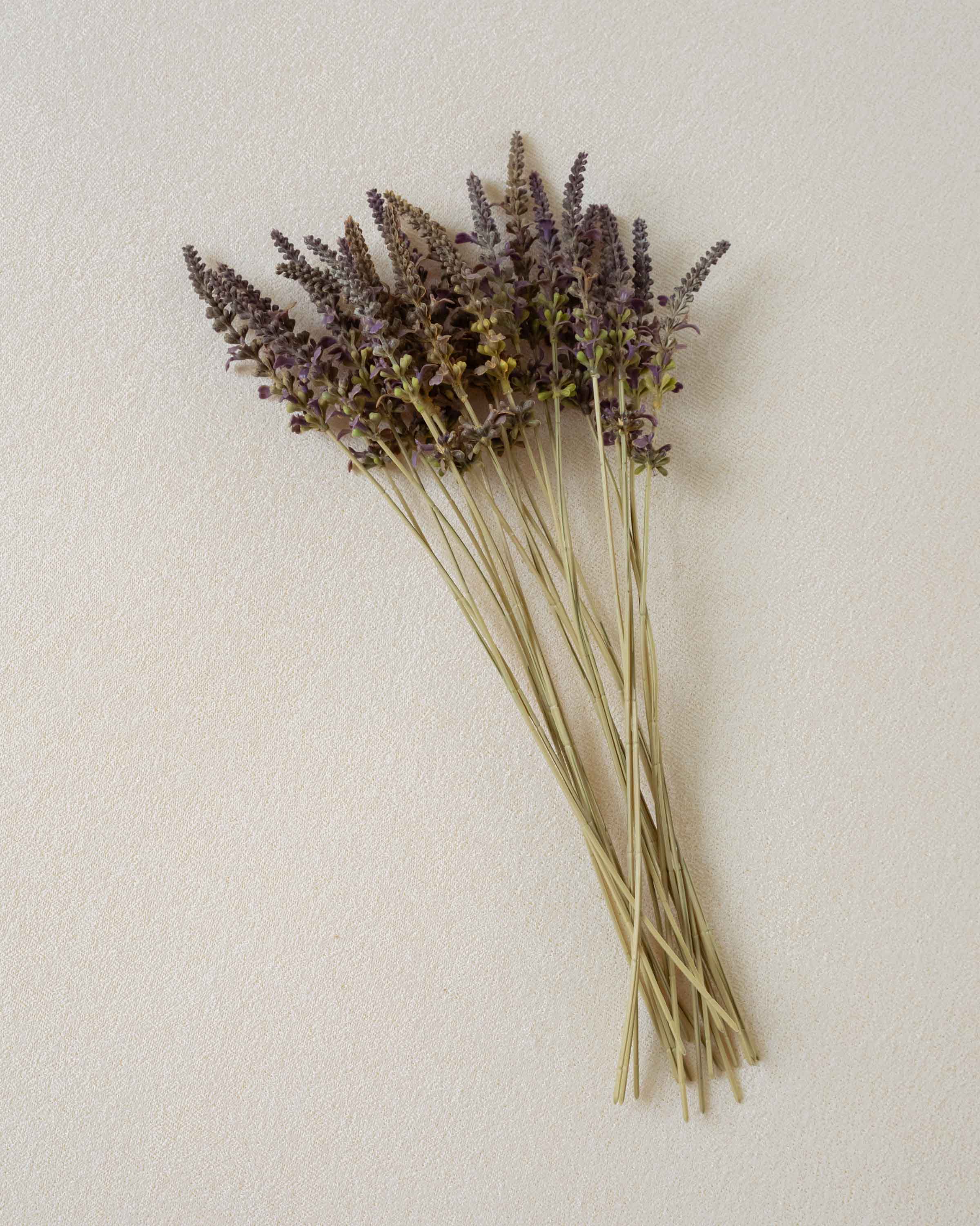 Rama Lavanda Malva