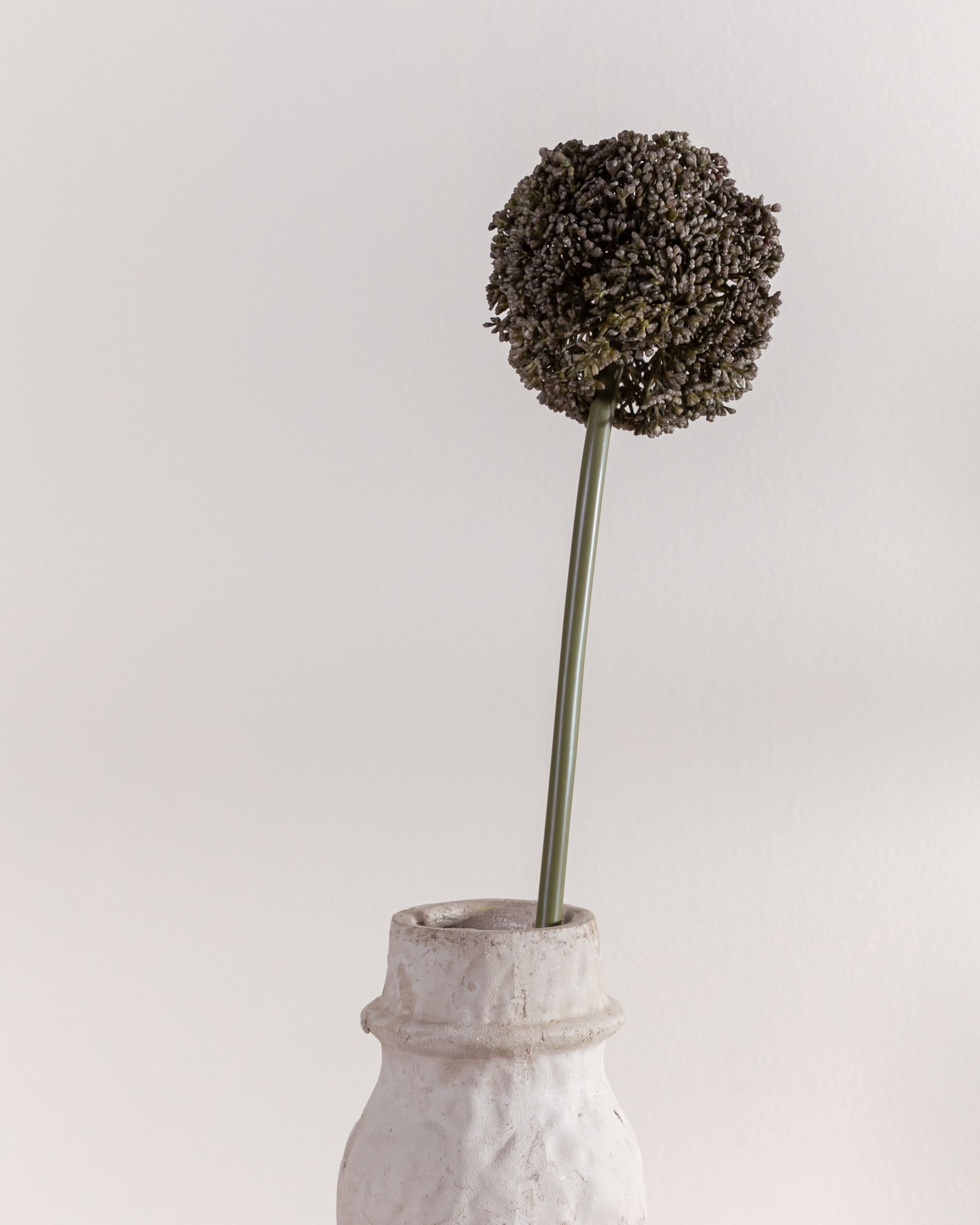 Allium Flower Grey Pearl