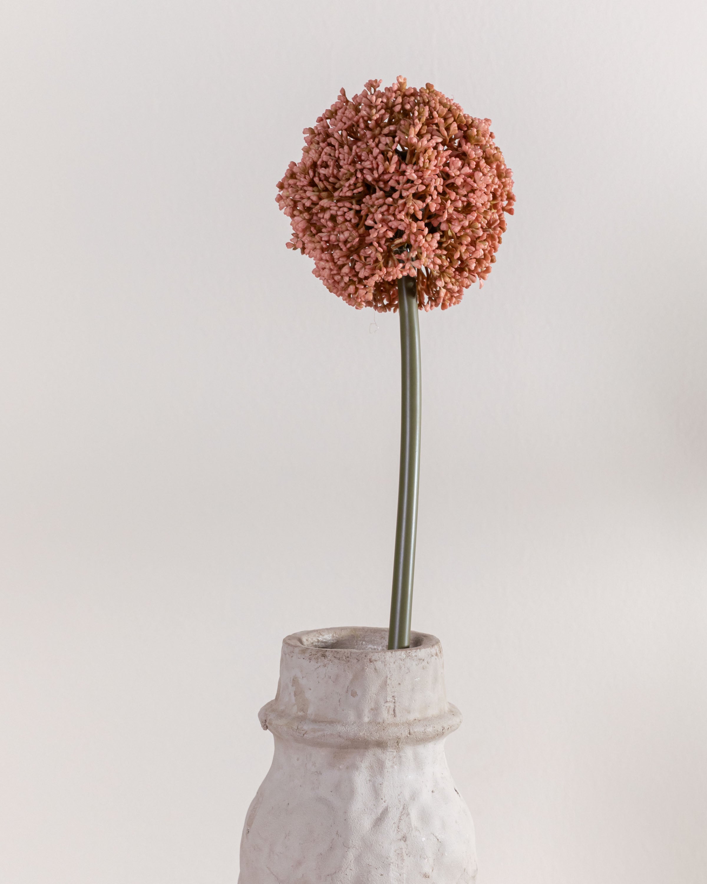 Flor Allium Rosa