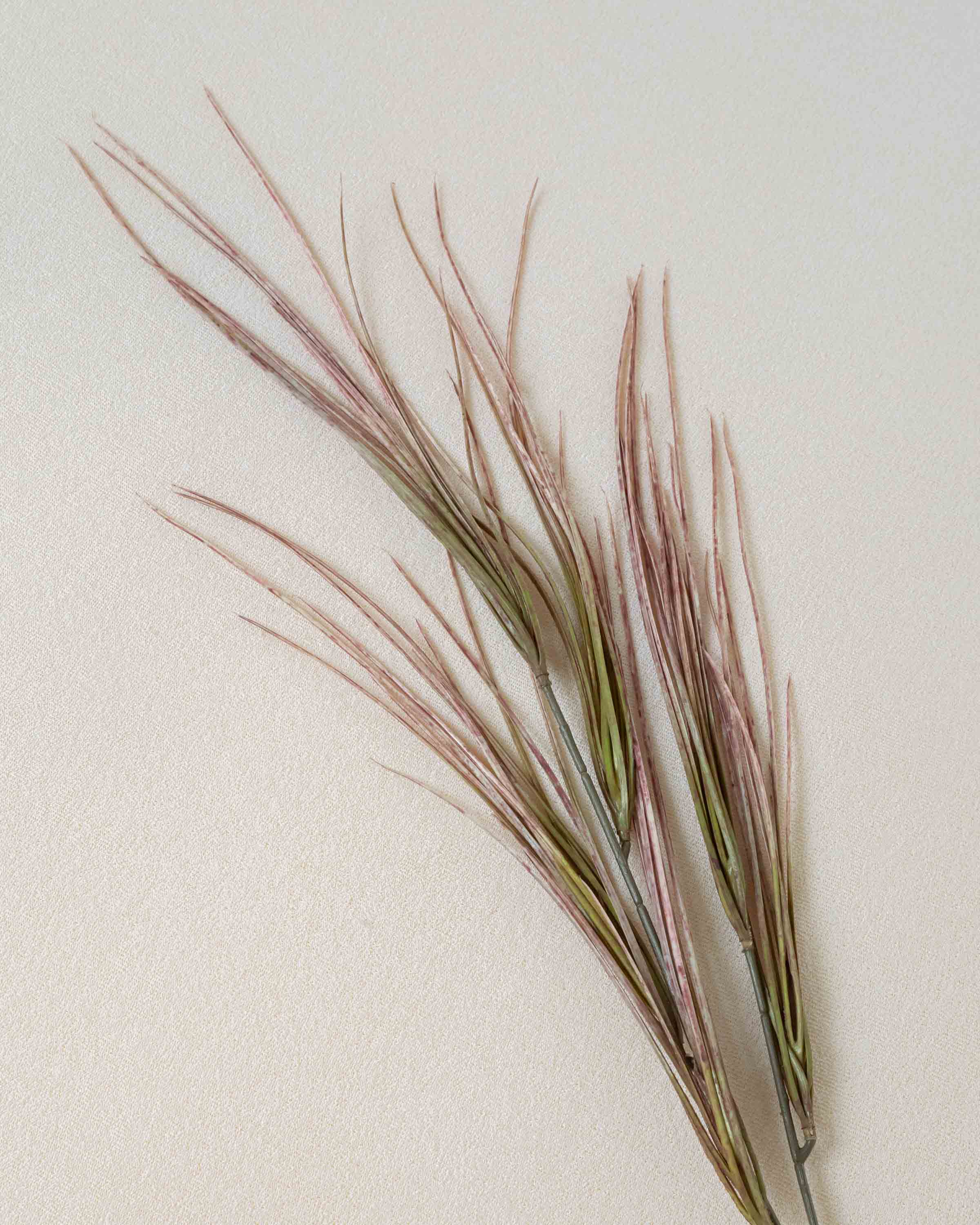 Rama Hierba Rosa