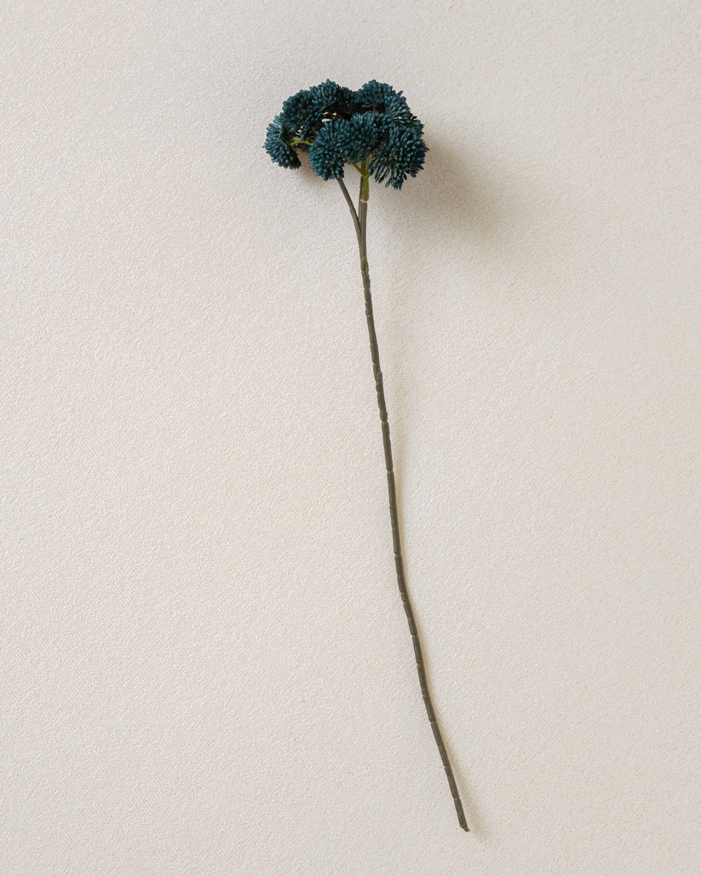 Flor de Sedum Azul