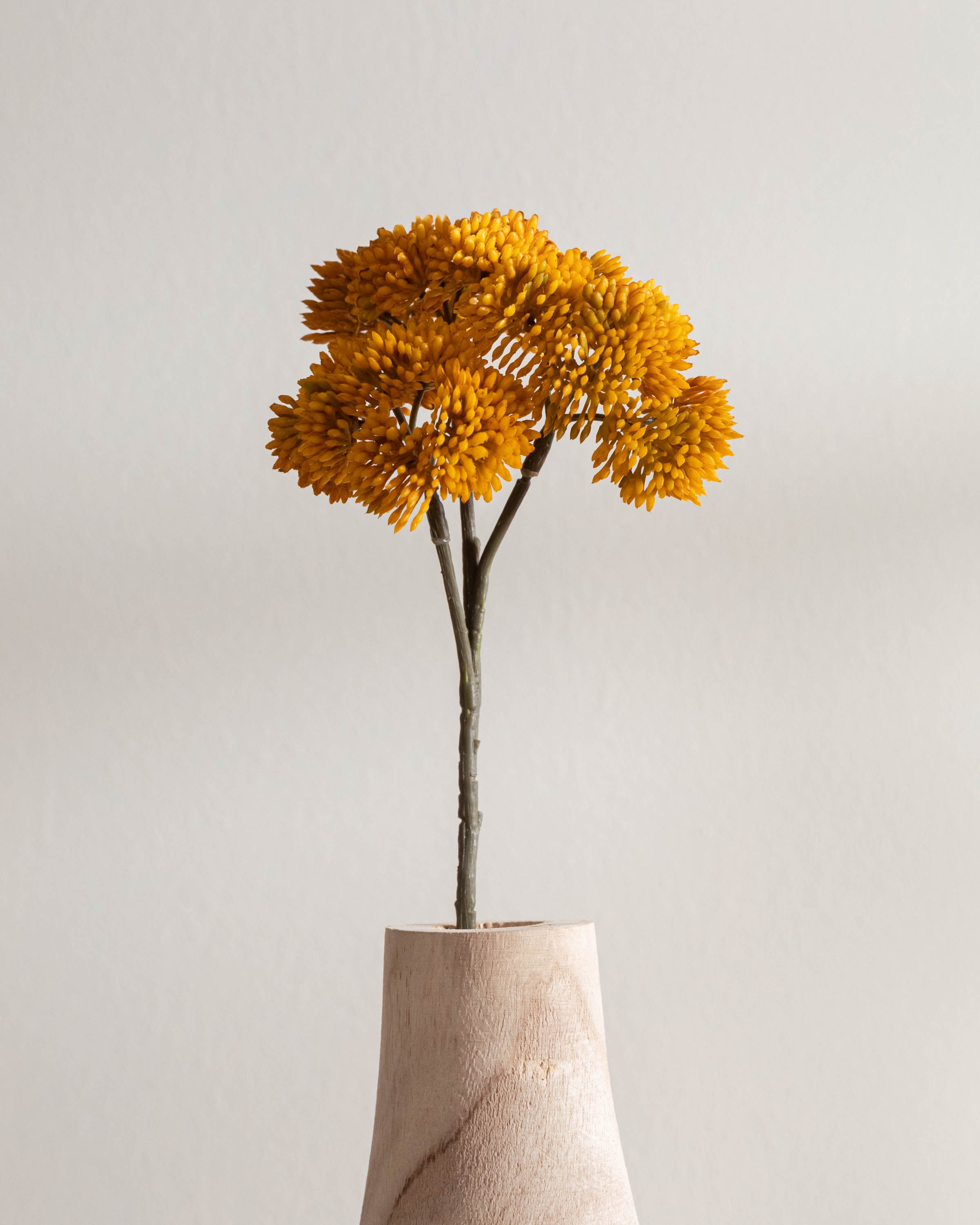 Flor Sedum Ocre