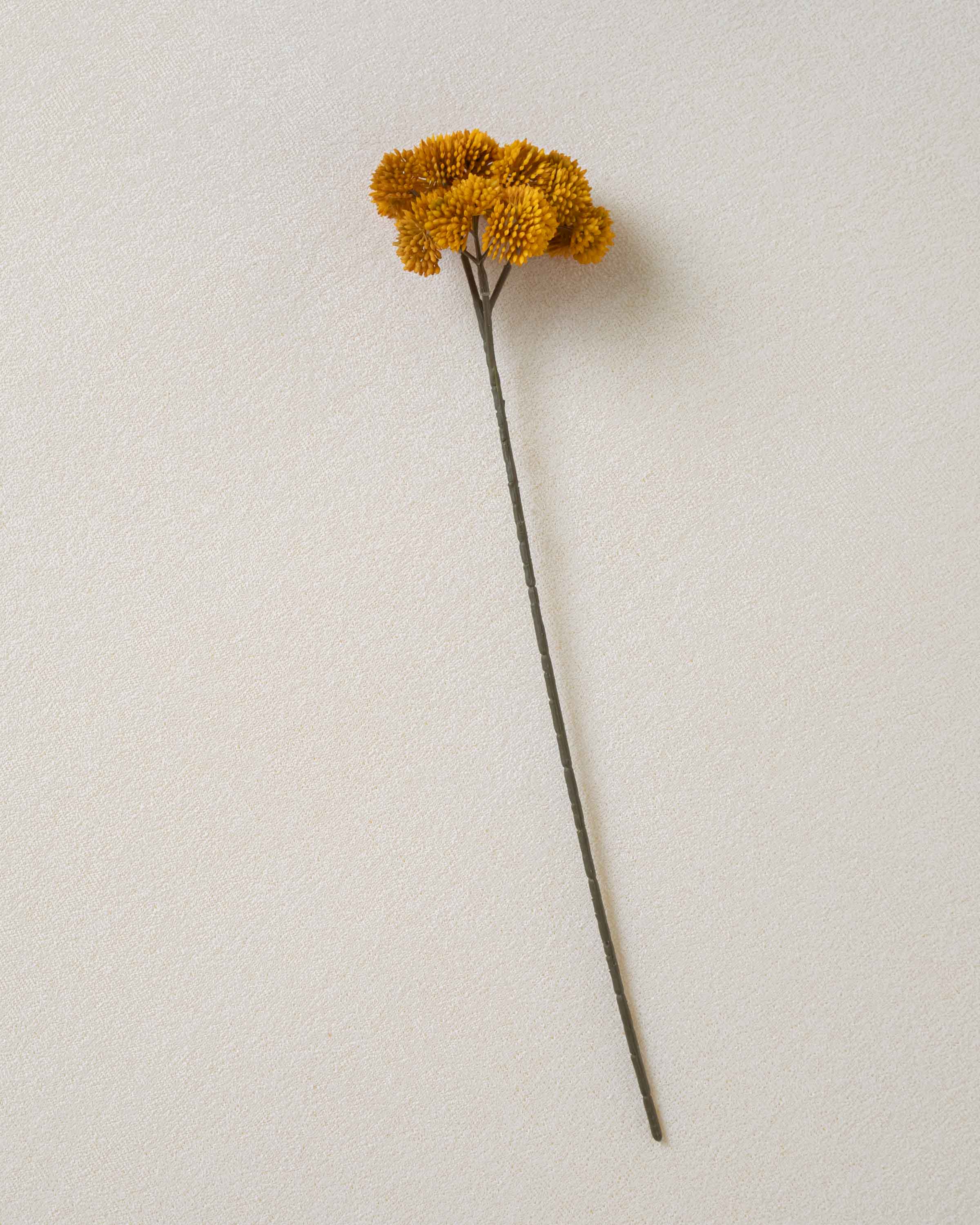 Flor Sedum Ocre