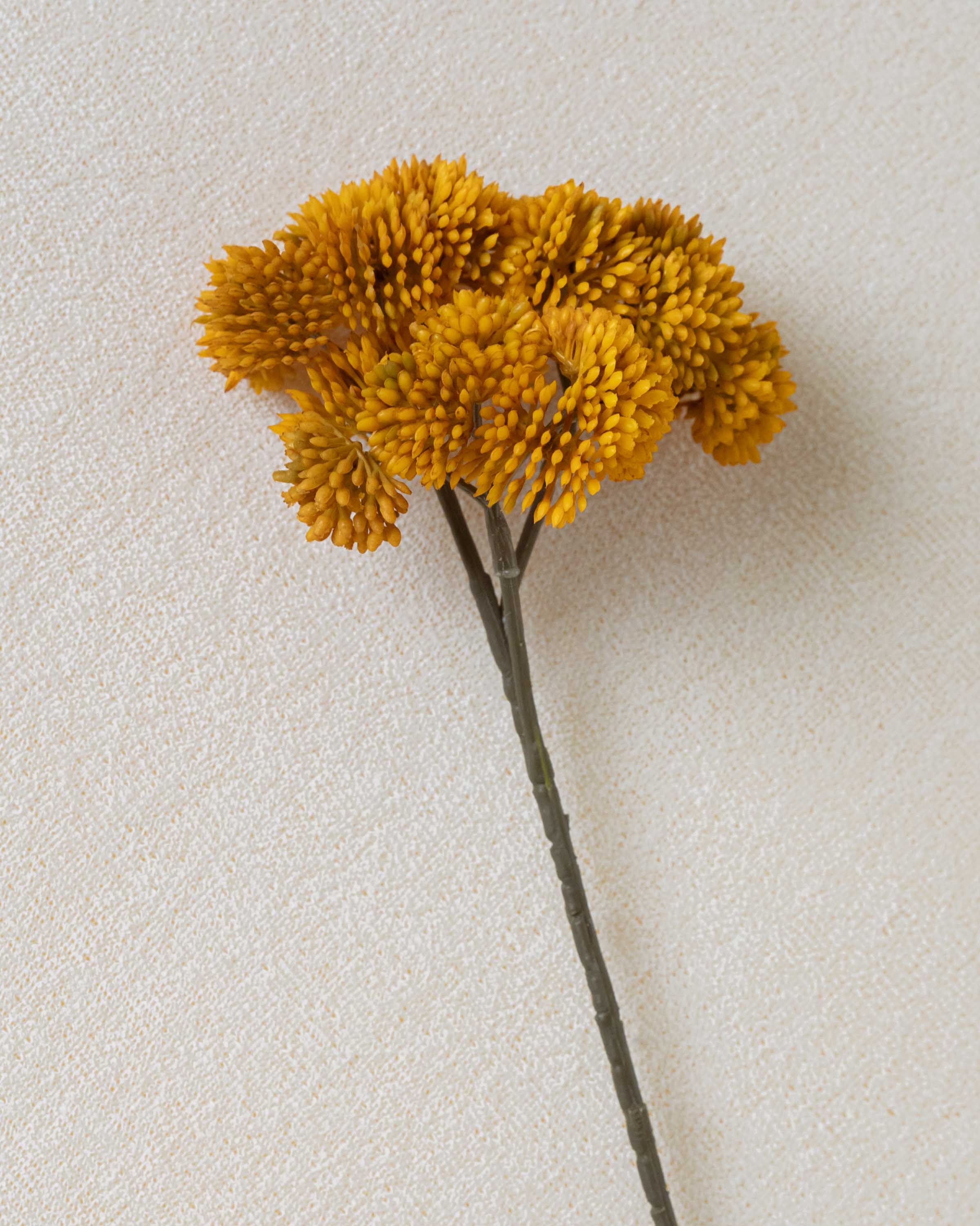 Flor Sedum Ocre