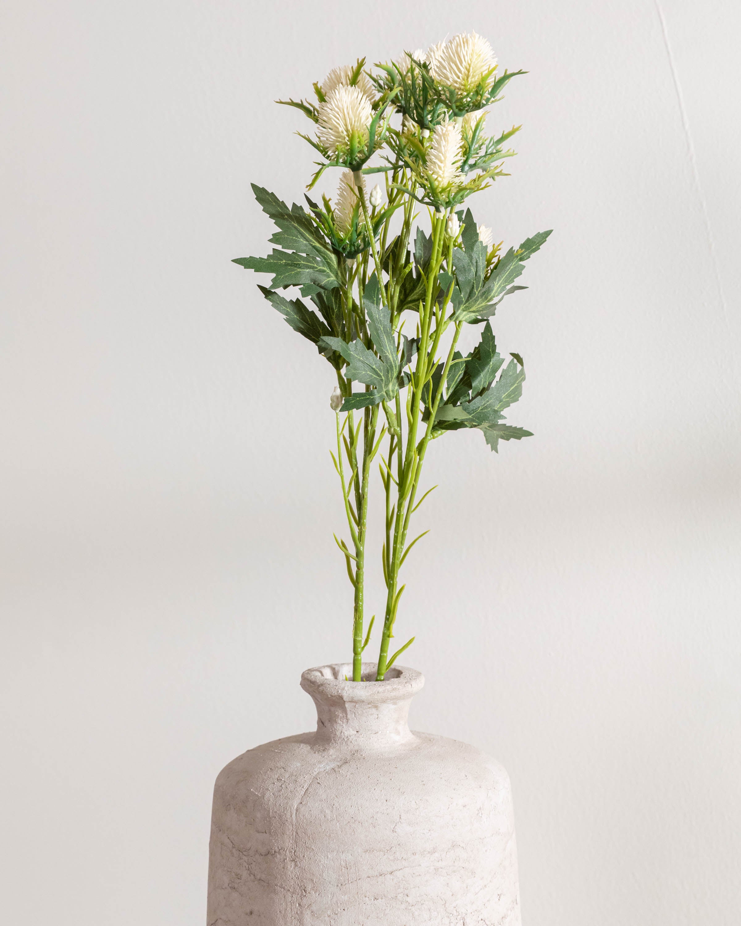Rama Acebo Beige