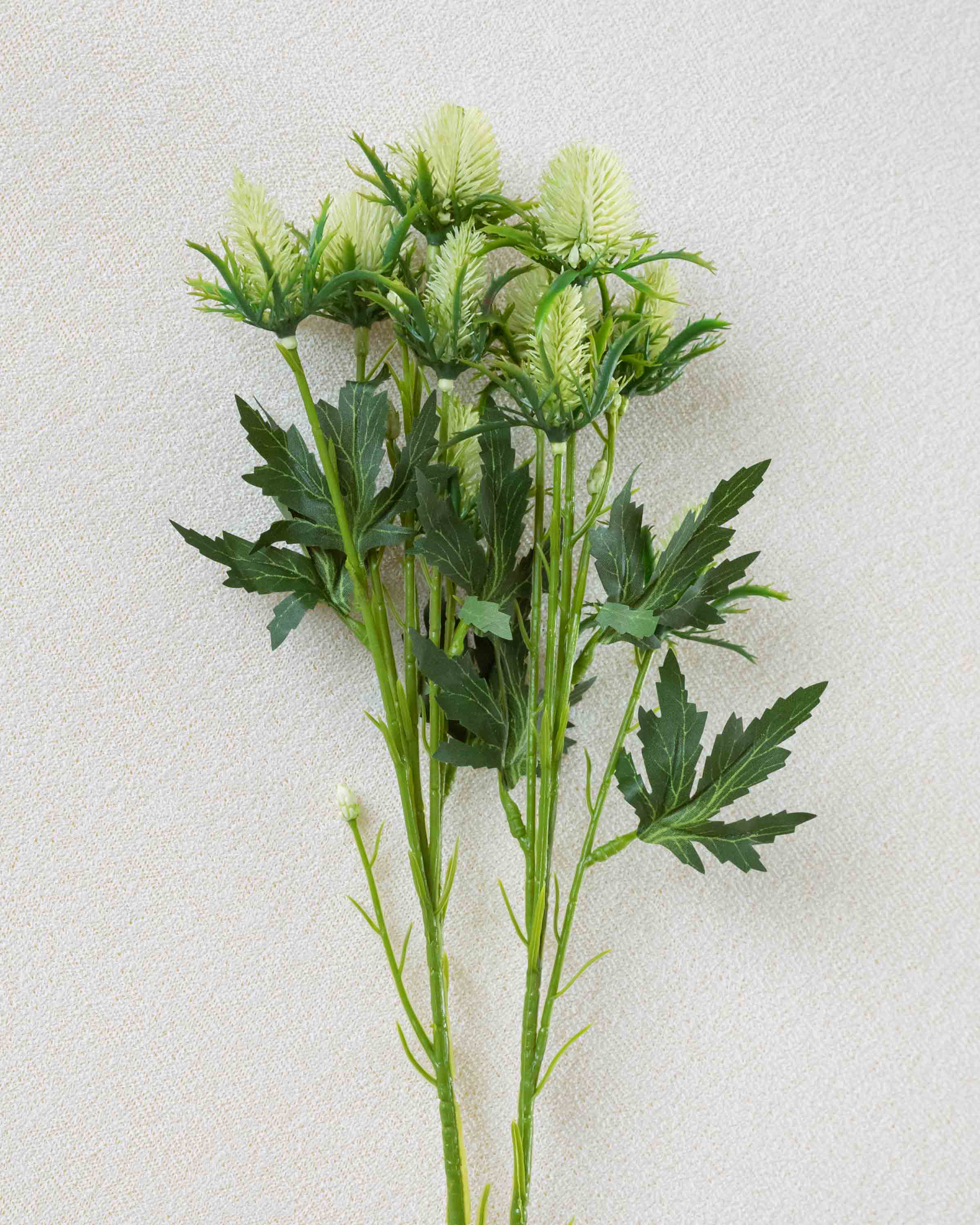 Rama Acebo Verde
