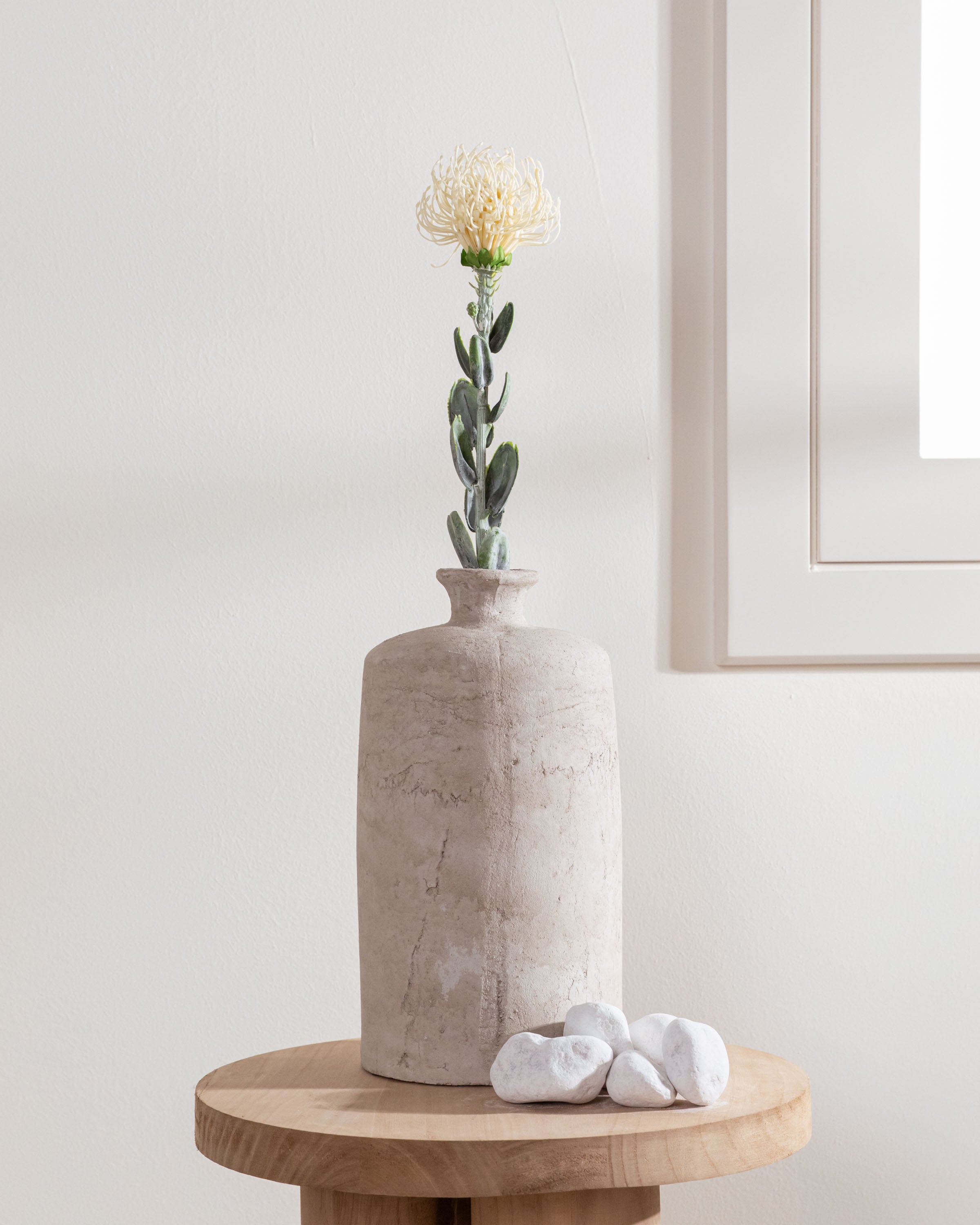Flor Protea Blanco