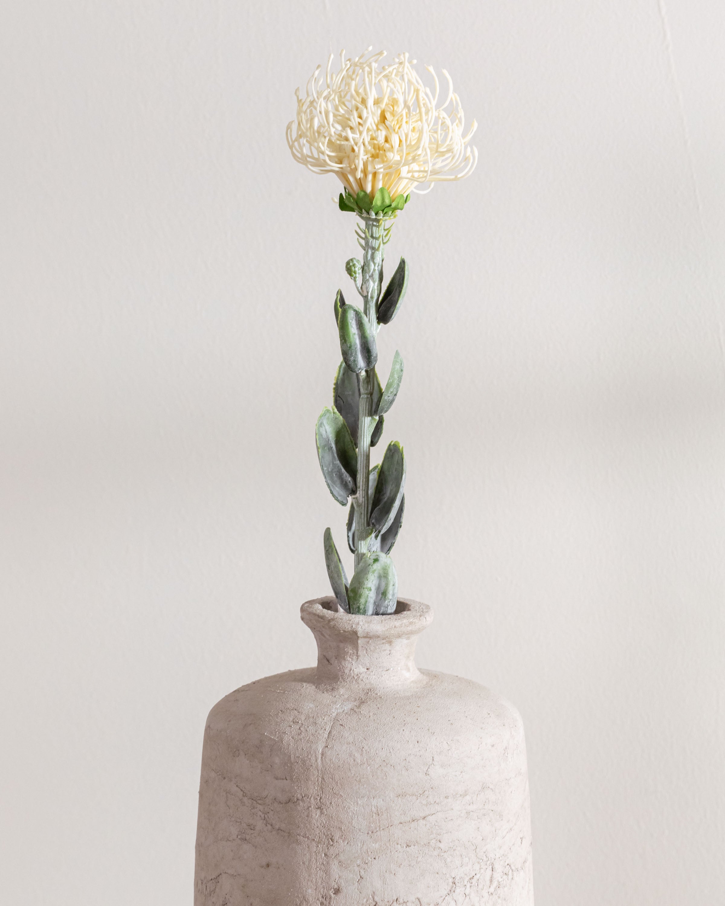 Flor Protea Blanco