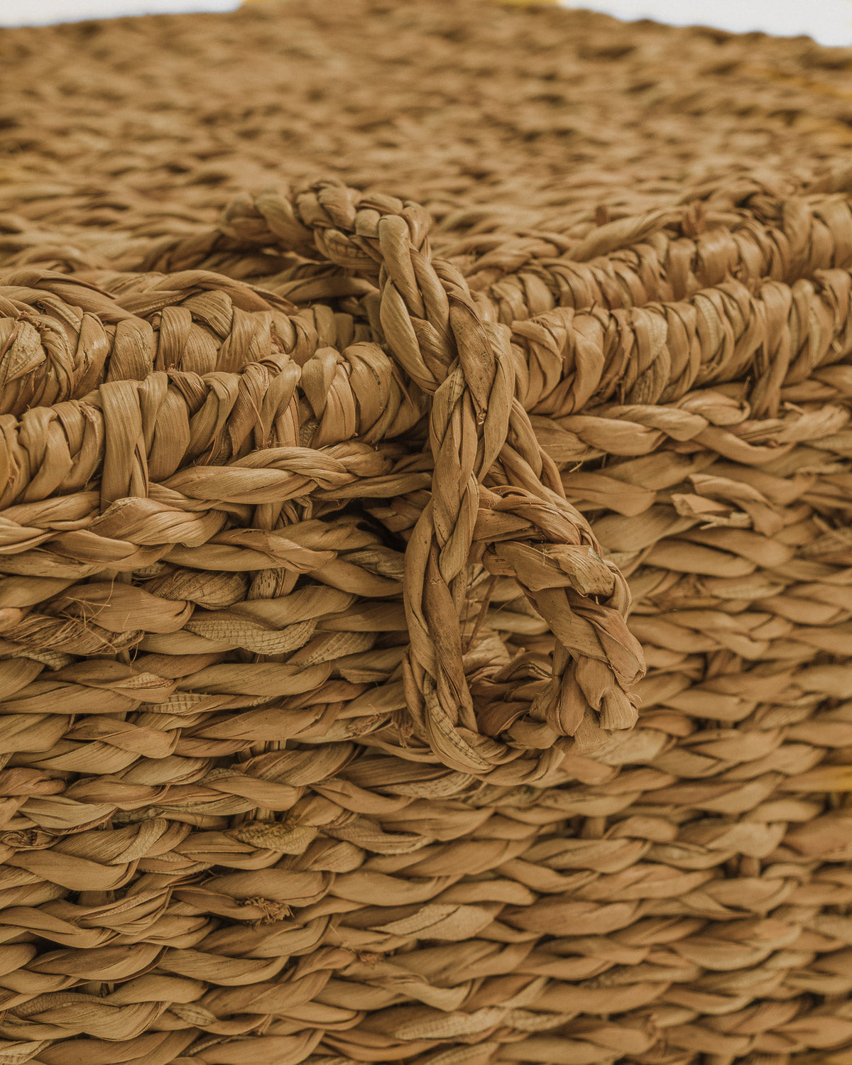 Cesta Con Tapa Sunflower Natural