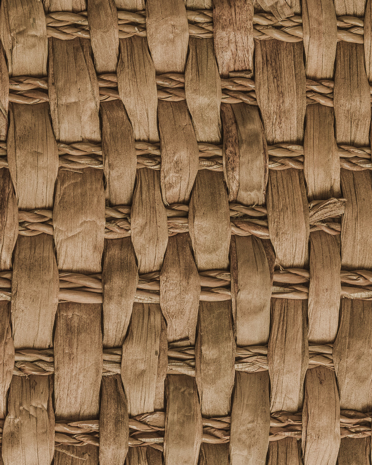 Baúl con Tapa Mariona Plegable Natural