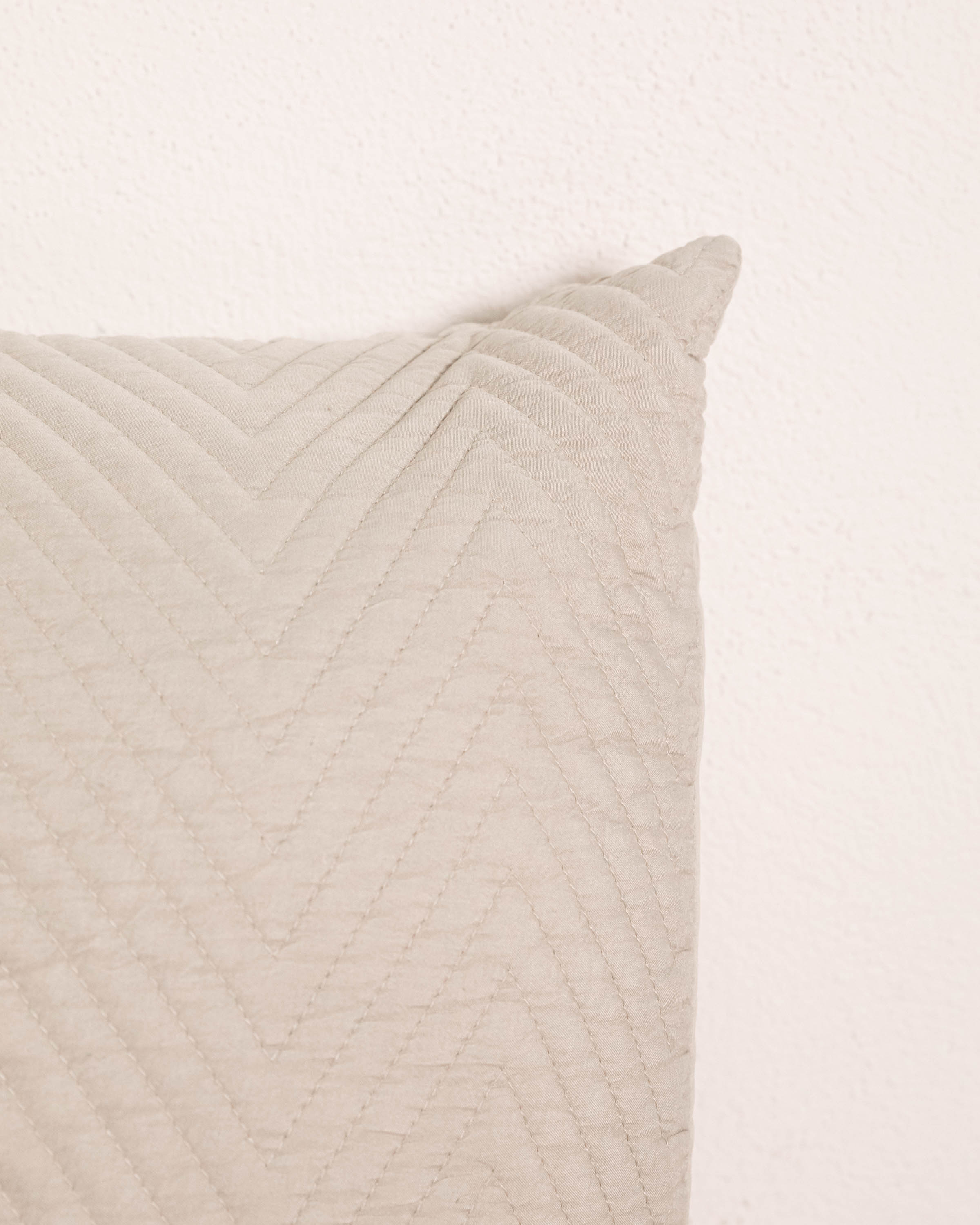 Cojín Efecto Desgastado Hungría Topo