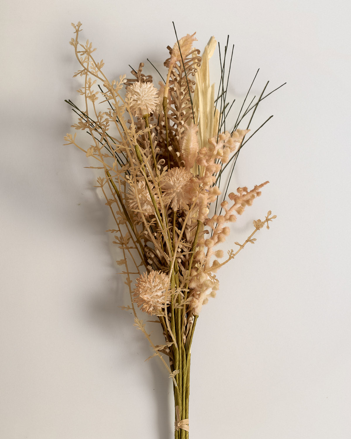 Arbusto pampas marrón