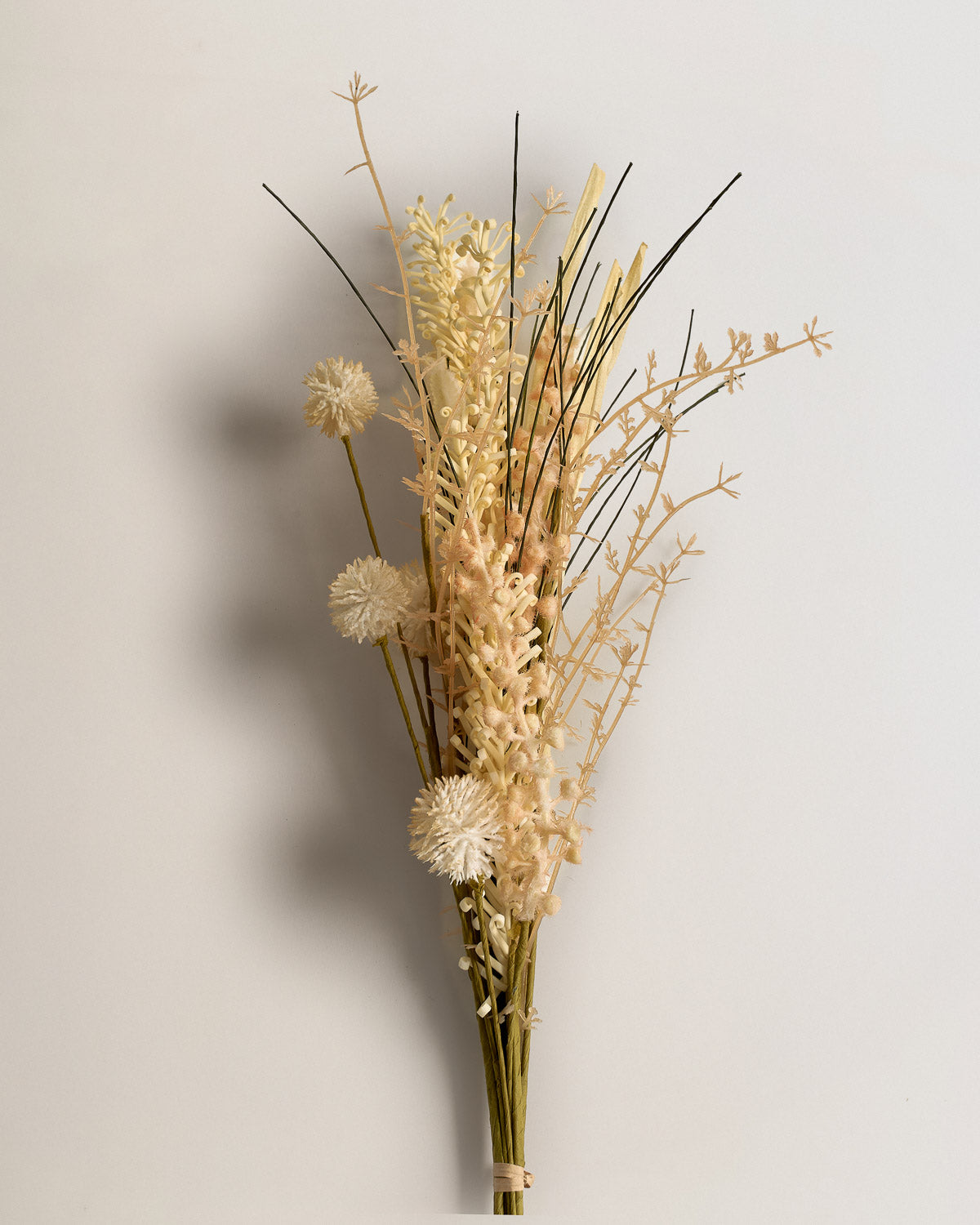 Arbusto pampas crema