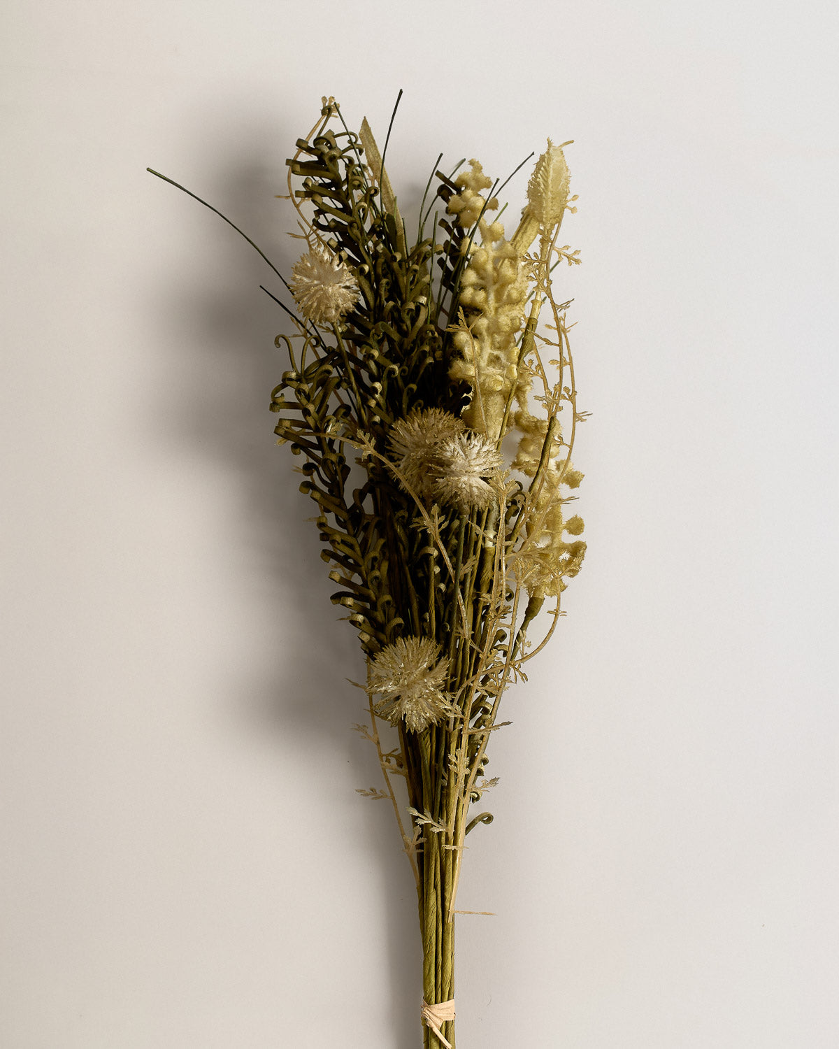 Arbusto pampas verde