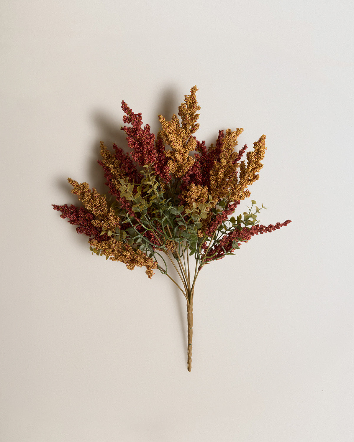 Rama gypso rojo