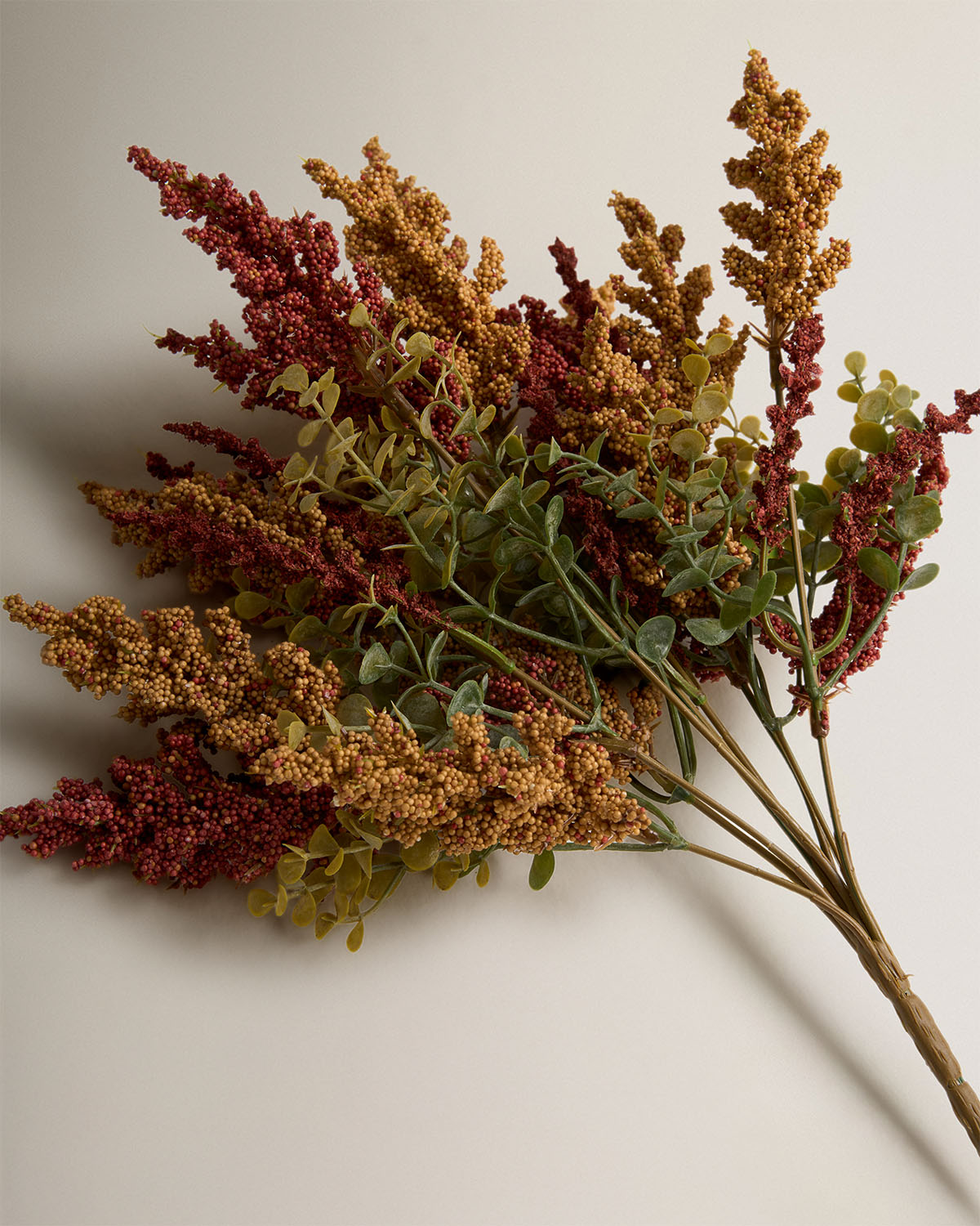 Rama gypso rojo