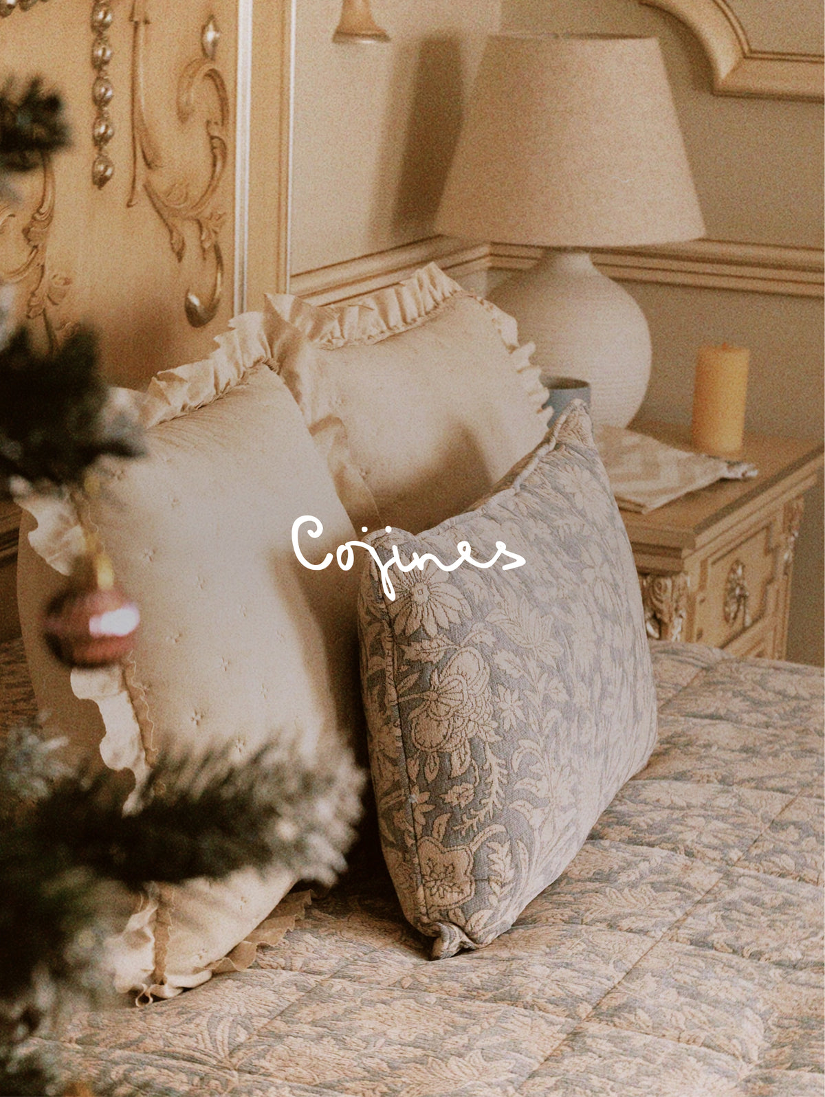 Imagen de colección